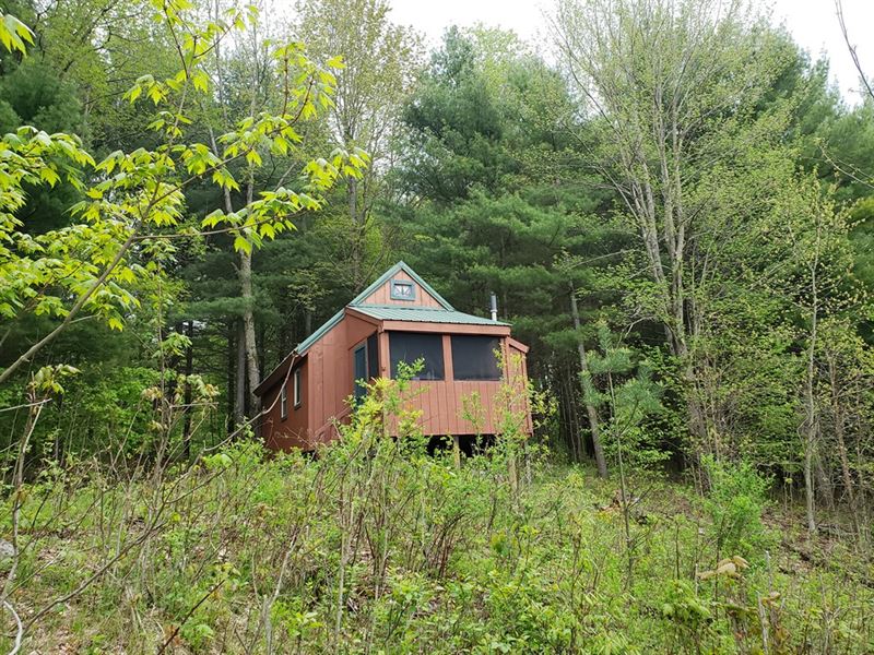 Camp On Otter Creek : Greig : Lewis County : New York