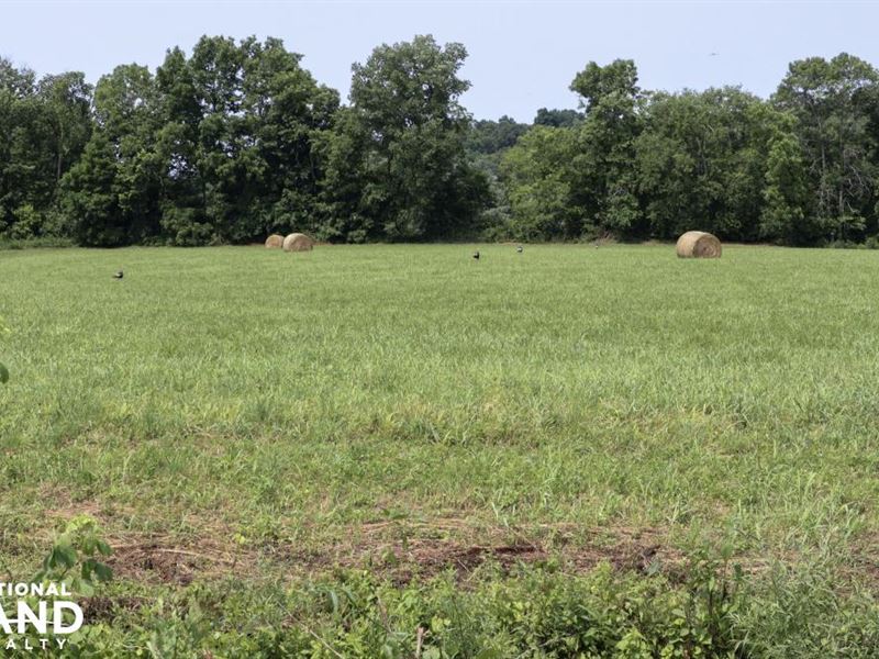 513 Acre Cattle Farm On The Green Farm For Sale In Liberty Casey County Kentucky 201893 Farmflip