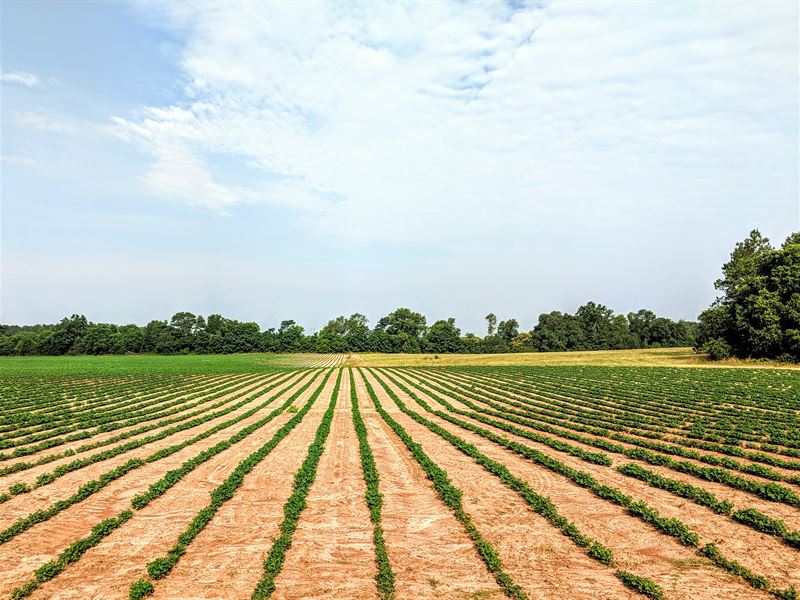 Blakely Hilltop Farm 40 Ac Farm, Farm for Sale in 202015 FARMFLIP