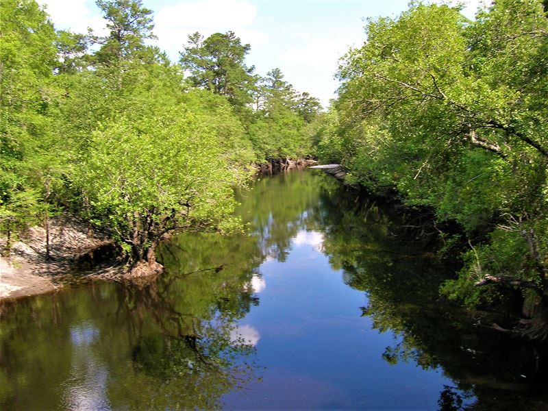 Little Satilla River Tract, Farm for Sale in 202025 FARMFLIP