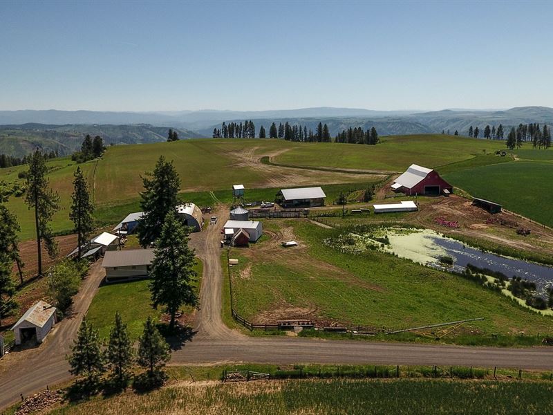 Farm & Ranch w, Country Home North, Farm for Sale in Idaho, 202152
