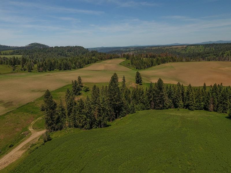 Farm Ranch / Hunting Land Kamiah, Farm for Sale in Idaho, 202153