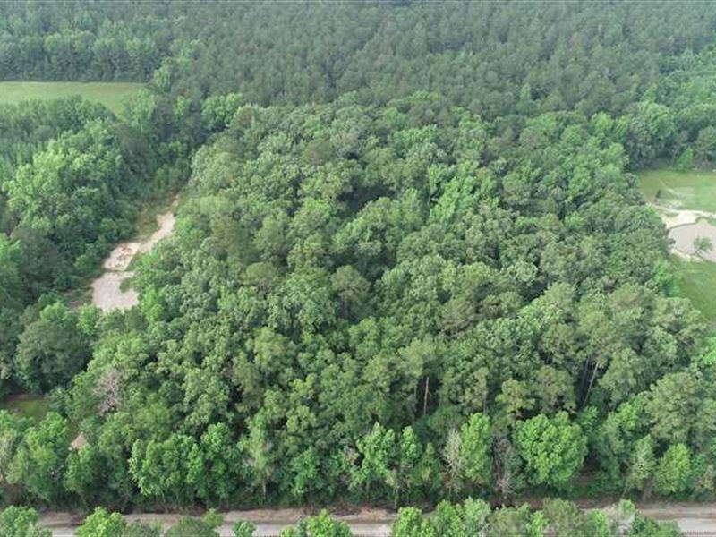 Doyline Homestead Tract, ster, Farm for Sale in Louisiana, 202279