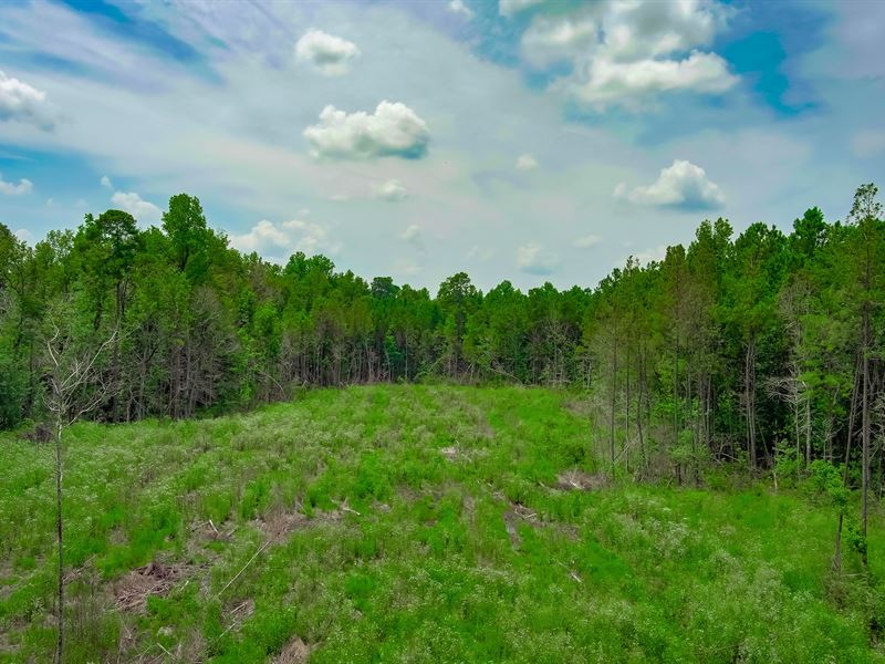 Bayboro 81 & 112 / Horry County, Farm for Sale in South Carolina