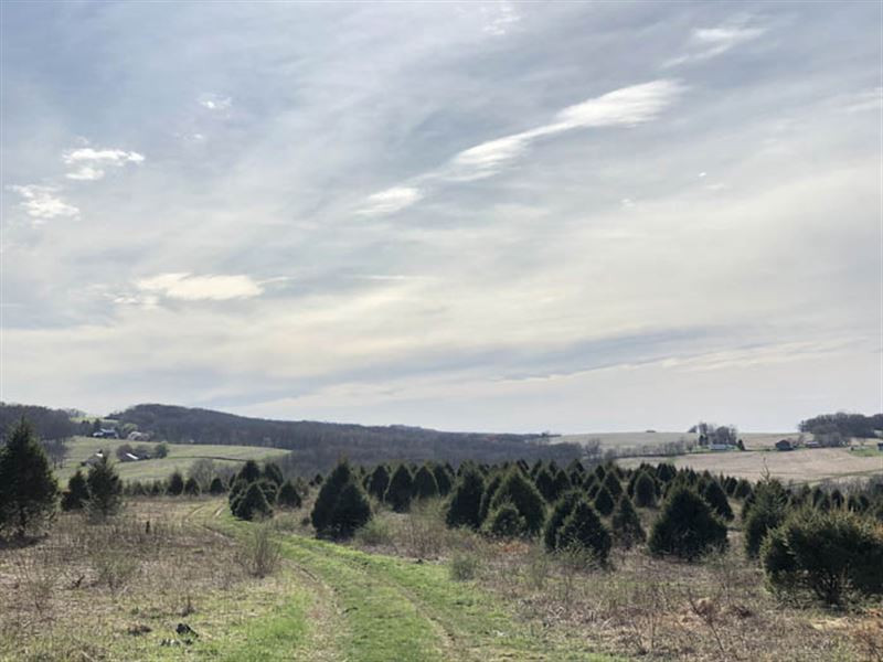 111+/ Acres Majestic Property Farm for Sale in Danville