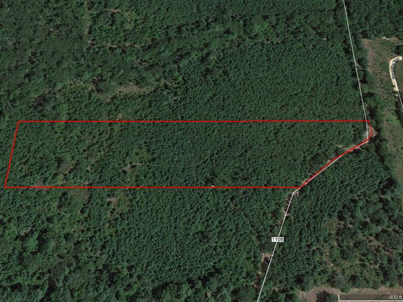 Great 10 Ac Tract Close To Tyler : Noonday : Smith County : Texas