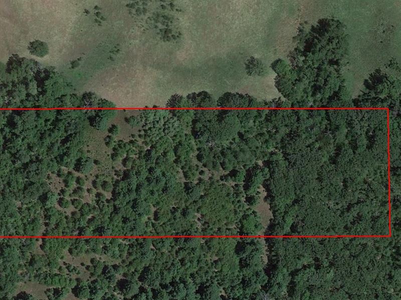 10 Ac Tract On Fm 2661 Flint, Tx : Noonday : Smith County : Texas