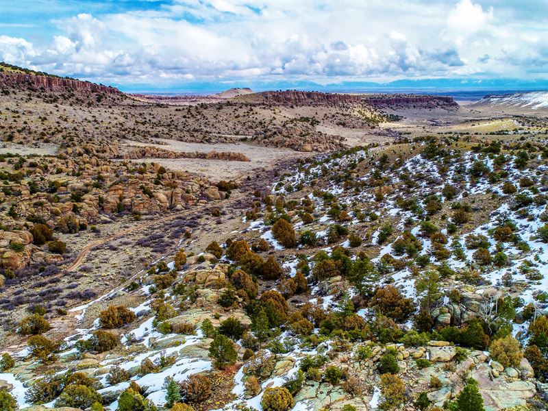 Acreage Bordering National Forest, Farm for Sale by Owner in Colorado