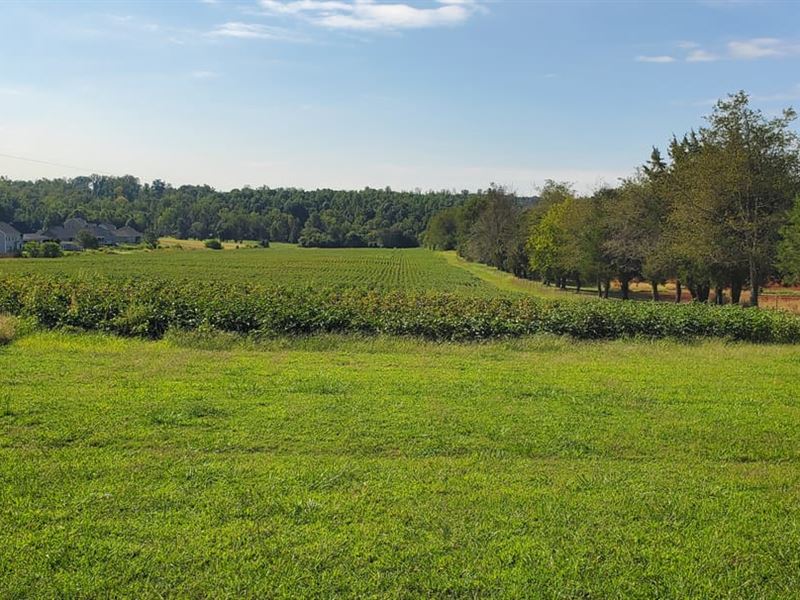 65 Acres, Midway Rd Statesvill, Farm for Sale in North Carolina, 202686 FARMFLIP