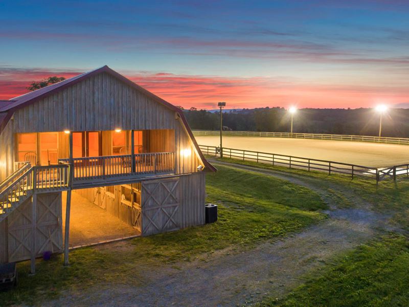 Equestrian Opportunity, Luxury Barn : Farm for Sale in Sale Creek