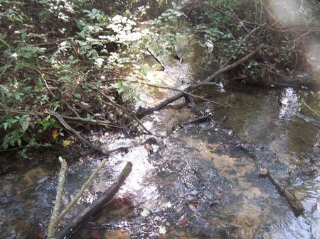 Cohelee Creek : Hilton : Early County : Georgia