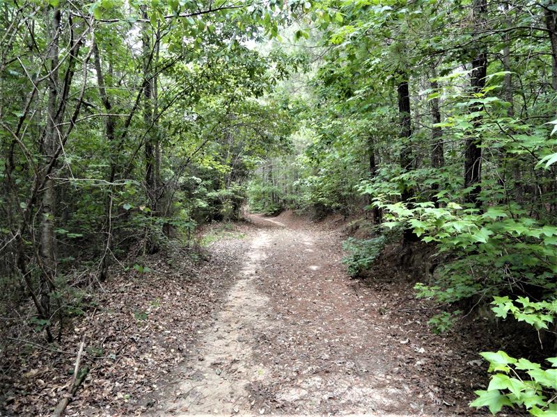 Oliver Scotts Mill Farm : Honea Path : Greenville County : South Carolina