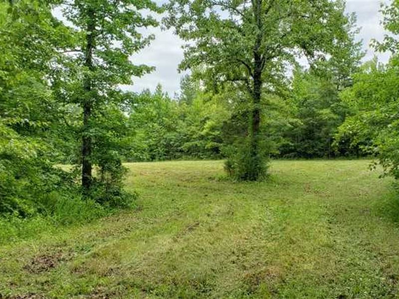 120 Ac On Dead End Road, Great Hu : Hornsby : Hardeman County : Tennessee