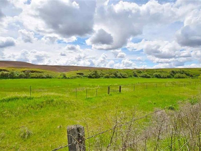 Latah, Wa, Creek Frontage, Farm, Farm for Sale in Washington, 203125 FARMFLIP