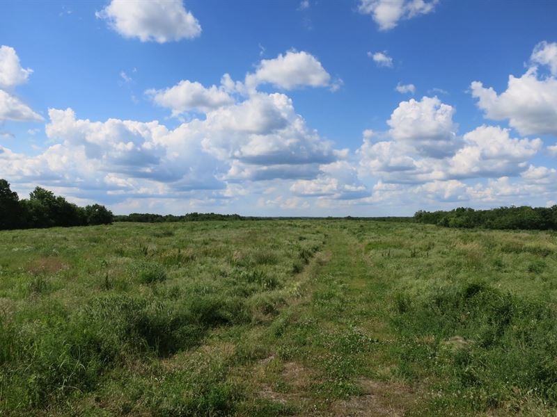 Deer & Turkey Hunting Its Best, Farm for Sale in Missouri, 203251