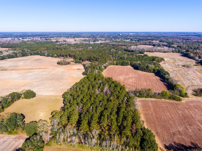 140 +/Acres Farmland And Timber Farm for Sale in Blakely, Early County, 203292