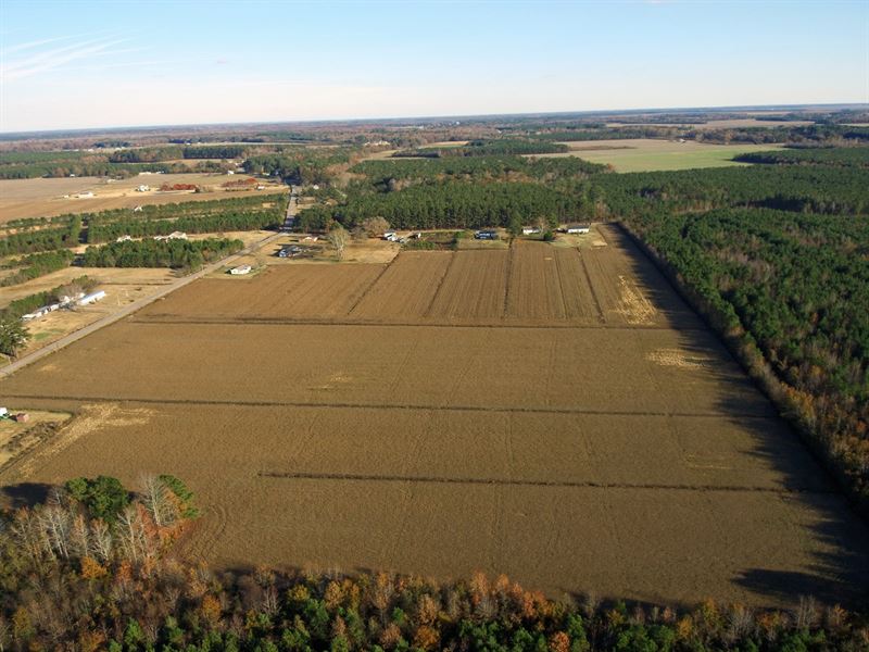 NC Farmland Pasquotank CountyJust, Farm Auction in North Carolina