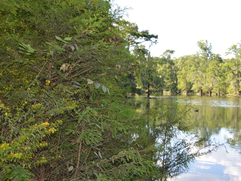 Escambia River River, Farm for Sale in Florida, 203367 FARMFLIP