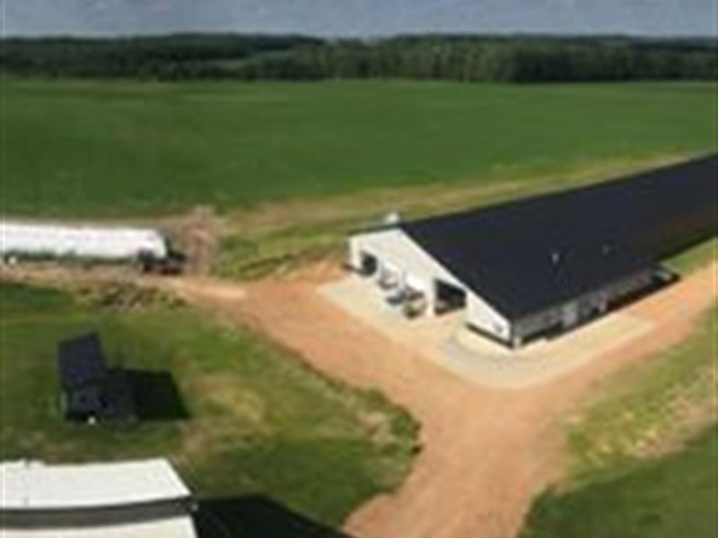 Turn Key 150 Cow Robotic Dairy, Farm for Sale by Owner in Wisconsin