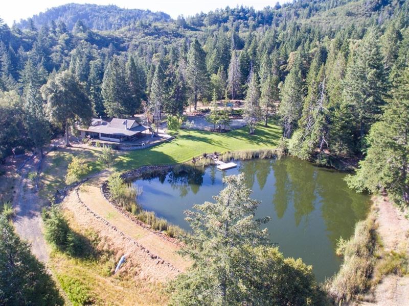 Mendocino County, Northern CA, Farm for Sale in California, 203501