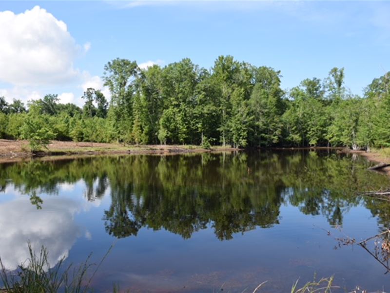 Pond Hunting Homesite, Farm for Sale in 203542 FARMFLIP