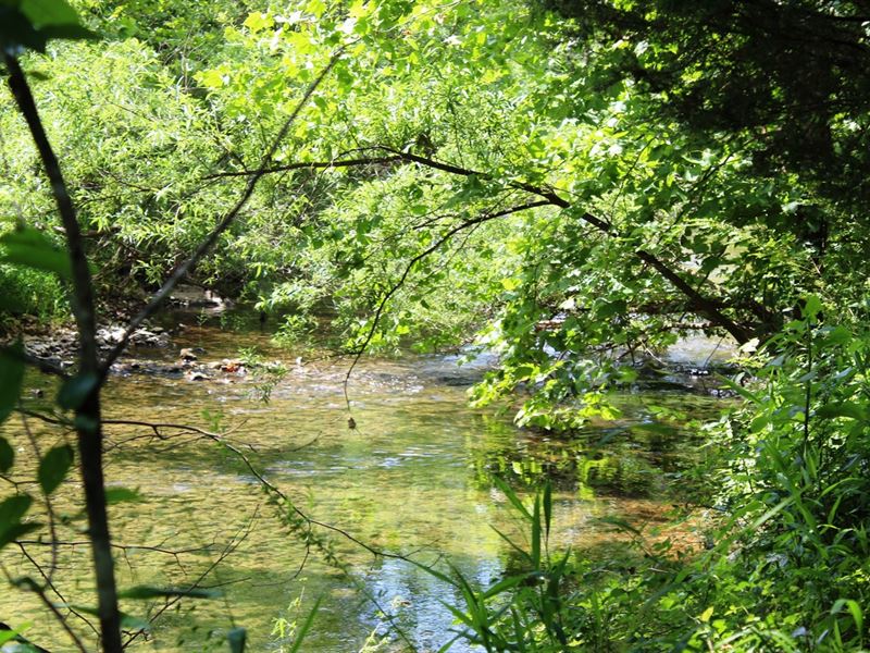 Creek Front Property Mammoth, Farm for Sale in Arkansas, 203809 FARMFLIP