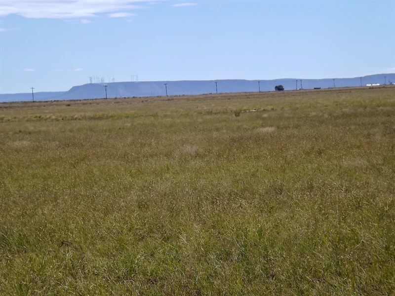 NM 904 Ac Grassland Estancia New : Estancia : Torrance County : New Mexico