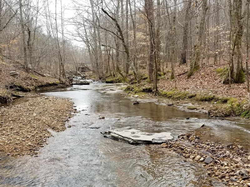 56.86 Acres of Vacant Timber Land : Linden : Perry County : Tennessee