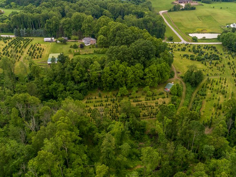 38+ Acre Evergreen Farm with Home : Canton : Stark County : Ohio