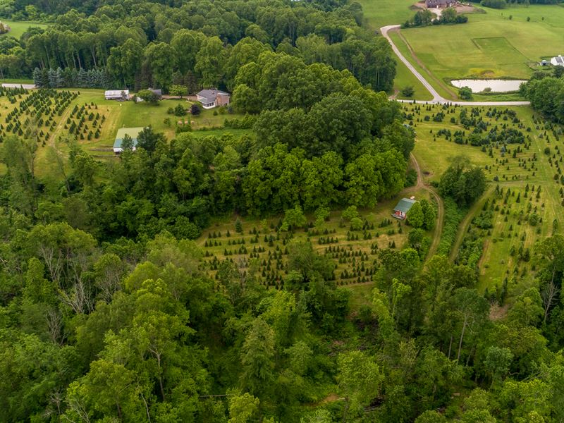 38+ Acre Evergreen Farm with Home, Farm Auction in Ohio, 203897 FARMFLIP