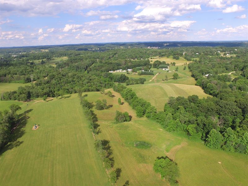 Spacious And Secluded 70 Acre Farm Farm for Sale by Owner in