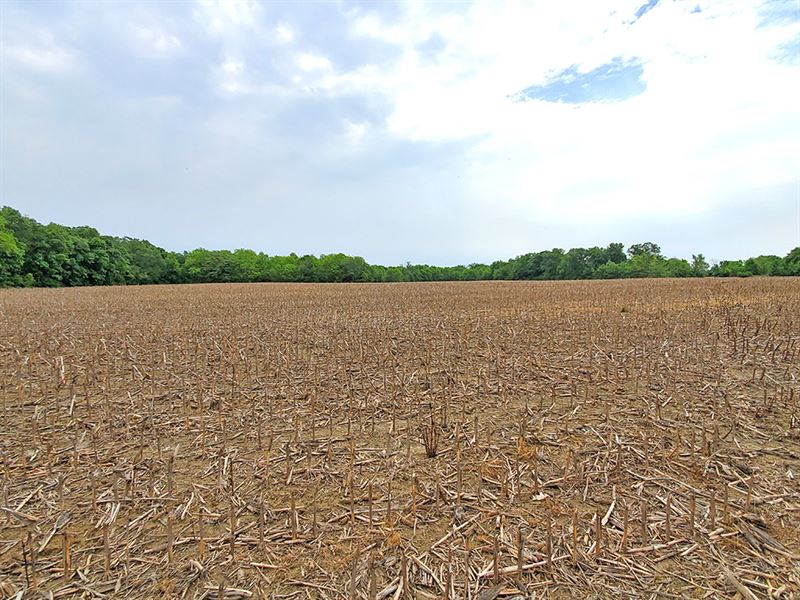 Champaign County Century Farm, Farm for Sale in Ohio, 203918 FARMFLIP