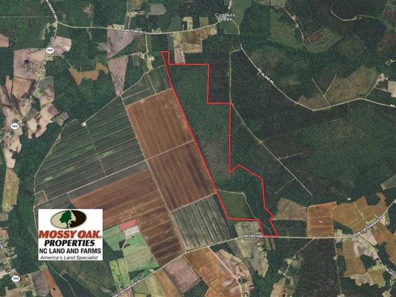 Under Contract, 460 Acres of Tim, Farm for Sale in North Carolina