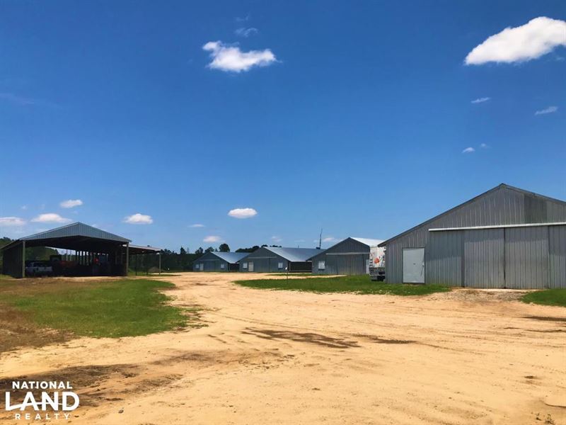 Orangeburg Six House Chicken Farm : Orangeburg : Orangeburg County : South Carolina