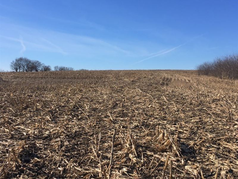 Caldwell County Land 120 Total 90, Farm for Sale in Missouri, 203983