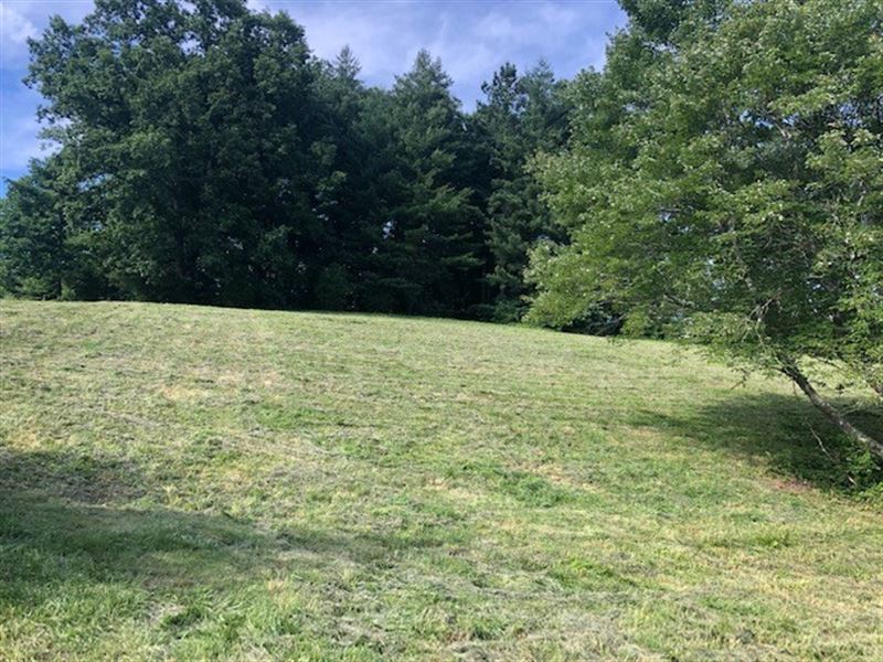 Land for Sale in Leipers Fork, TN, Farm for Sale in Tennessee, 204009