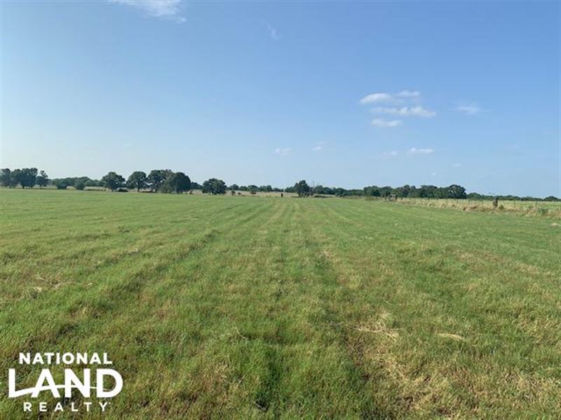 11.5 Ac Improved Hay Pasture Near : Eustace : Henderson County : Texas