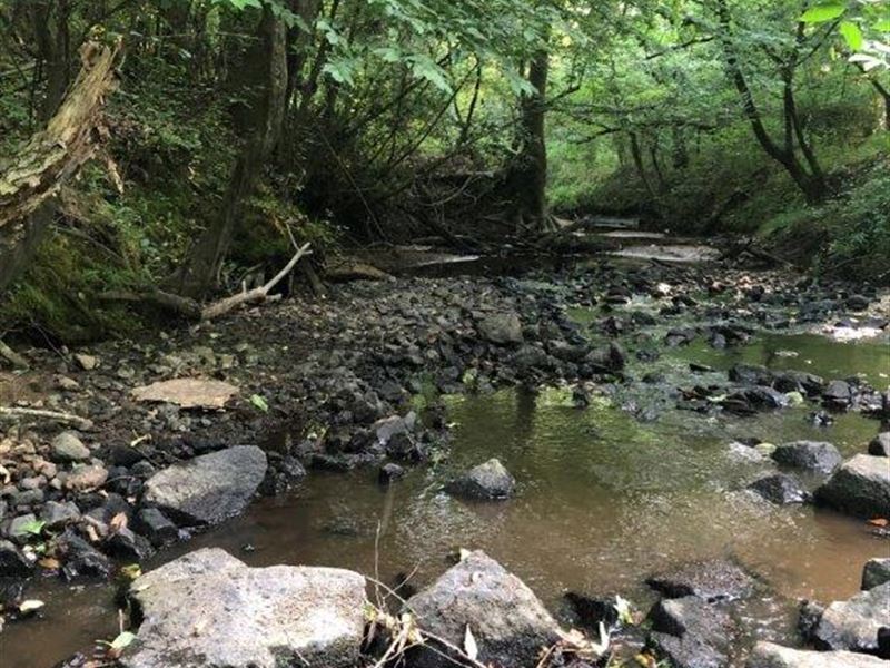 Storm Branch : Warrenton : Warren County : Georgia