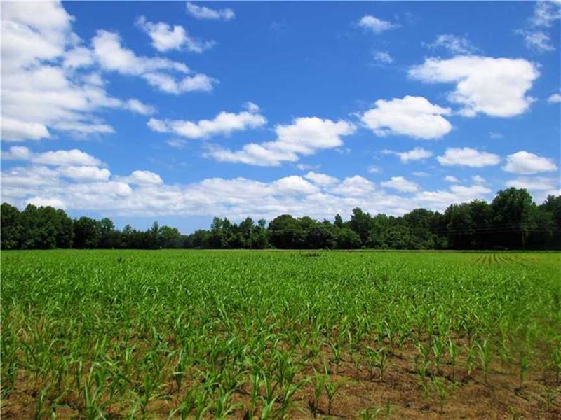 30 Acre Residential Farm Land Farm for Sale in Loretto, Essex County