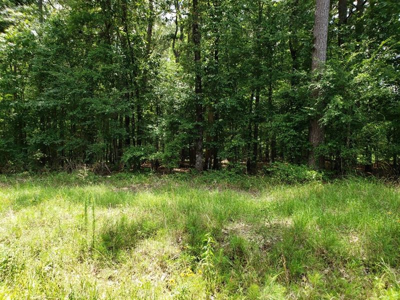Louisiana Recreation Realtree, Farm for Sale in Louisiana, 204685