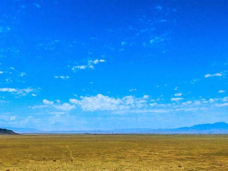 5 Acre Belen Nm, Farm for Sale by Owner in New Mexico, 204713 FARMFLIP