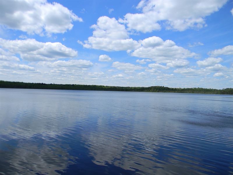 Marten Lake Road, Farm for Sale in Michigan, 204744 FARMFLIP