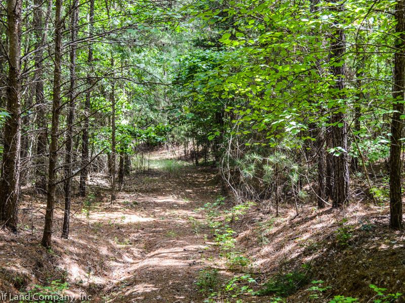 owner financing homes in union county nc