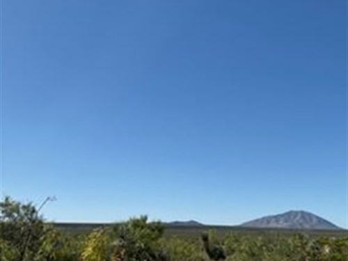 40 Acres Grassy with Roll $288/Mo : Sierra Blanca : Hudspeth County : Texas