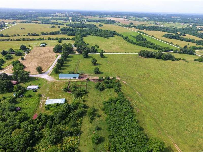Cattle Ranch in Willard, Missouri, Farm for Sale in Missouri, 204887