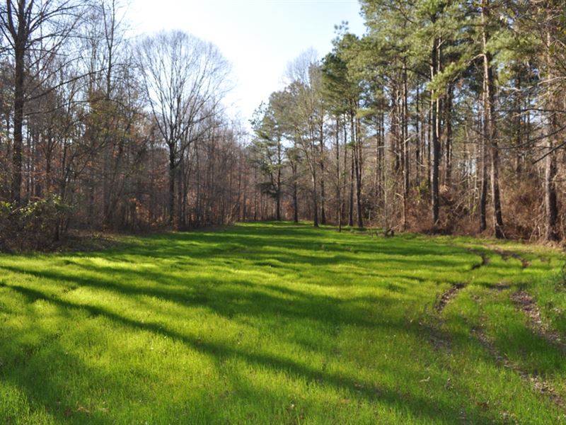 270 Acres, Hale County, Sawyerville, Farm for Sale in Alabama, 204981