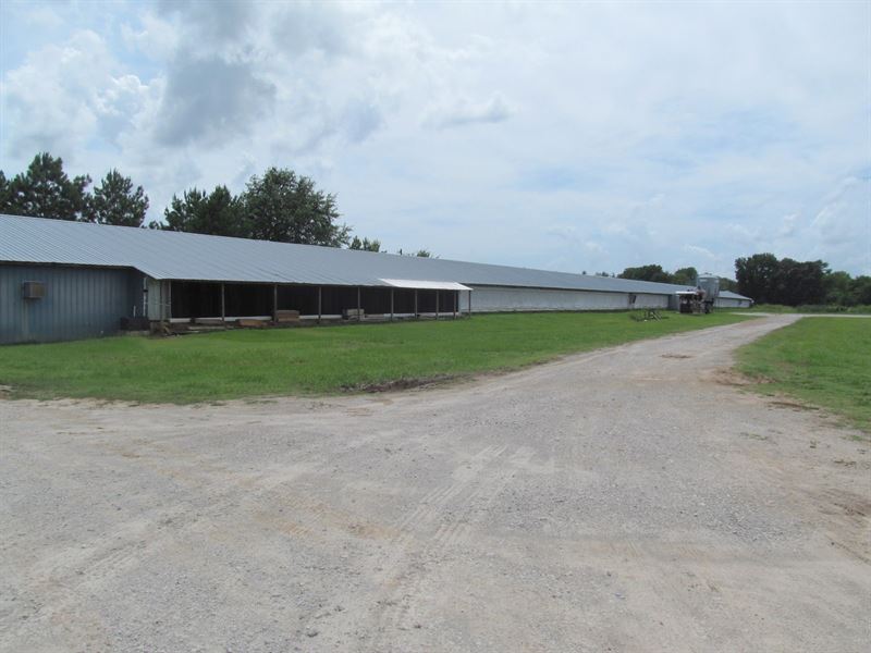 Poultry Farm, East Texas, Gilmer, Farm for Sale in Texas, 205098