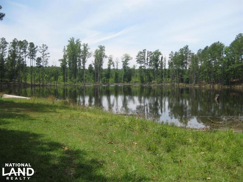 Maybinton Enoree River Timber : Whitmire : Newberry County : South Carolina