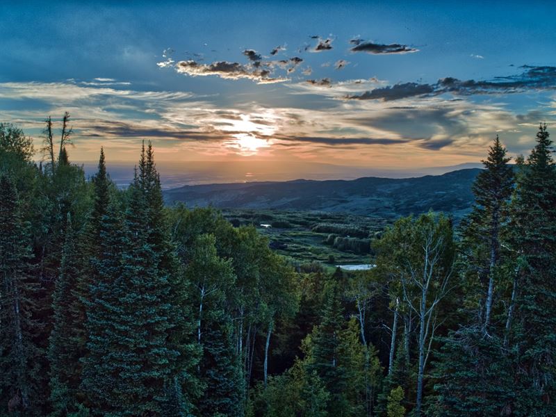 Colorado Mountain Property Hunting : Montrose : Montrose County : Colorado
