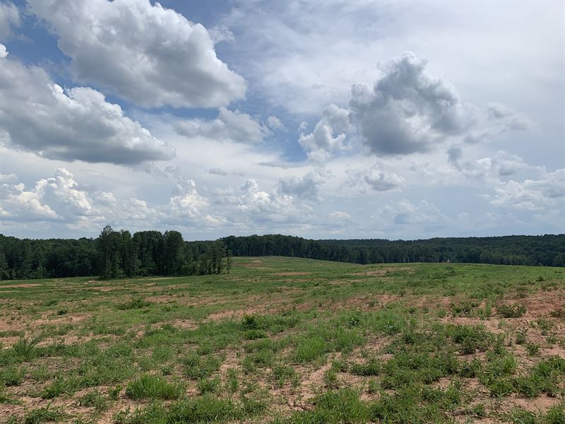 Oconee Meadow Tract : Watkinsville : Oconee County : Georgia